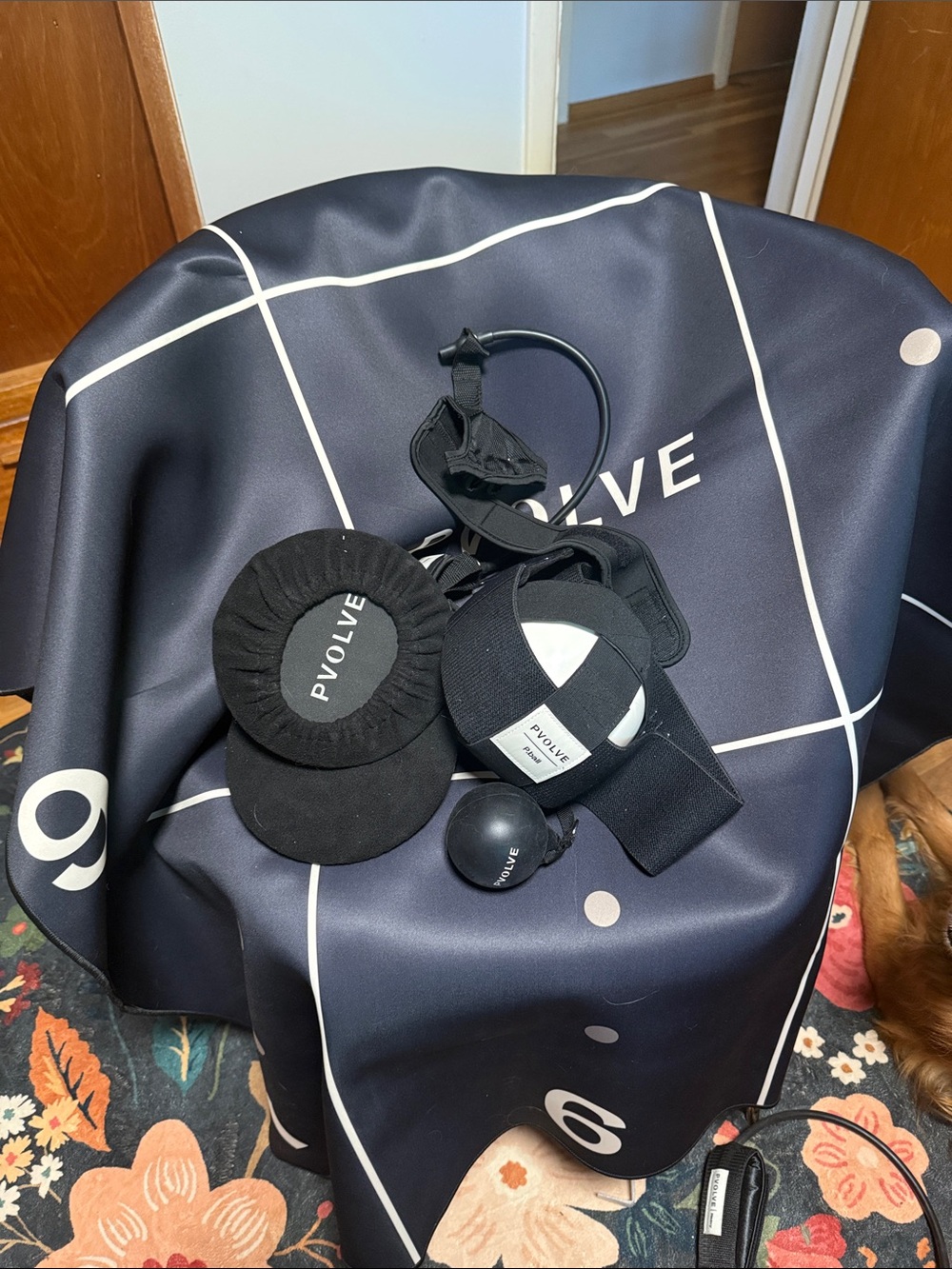 P.volve Black Resistance & Core Training Bundle